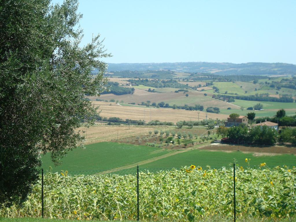 Podere Fontegallo カスティリオーネ・デル・ラーゴ エクステリア 写真