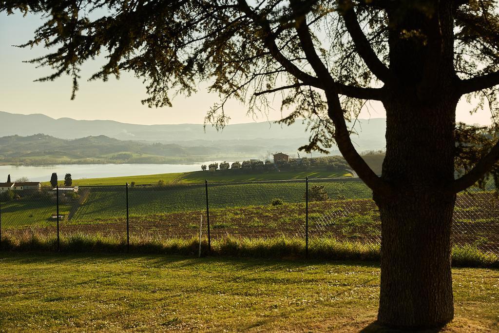 Podere Fontegallo カスティリオーネ・デル・ラーゴ エクステリア 写真