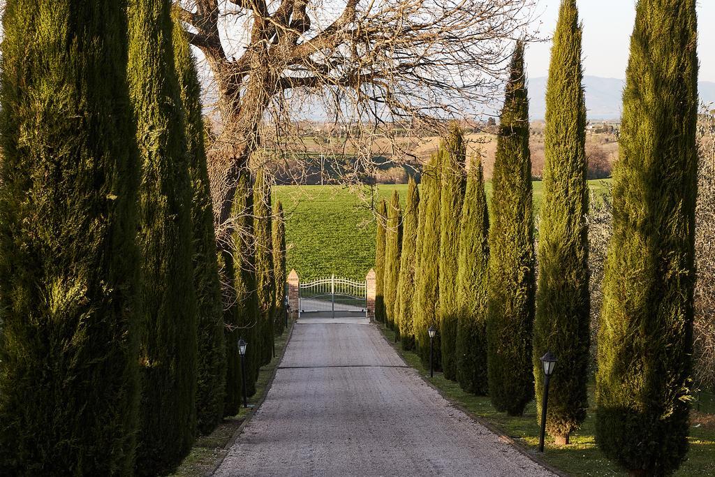 Podere Fontegallo カスティリオーネ・デル・ラーゴ エクステリア 写真