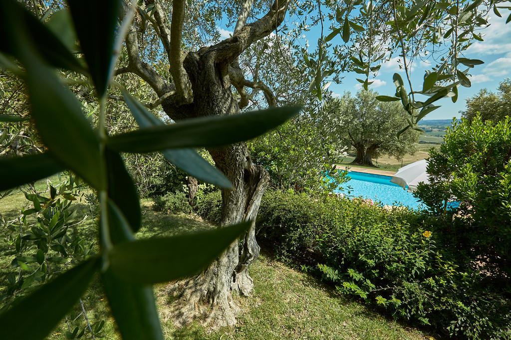Podere Fontegallo カスティリオーネ・デル・ラーゴ エクステリア 写真