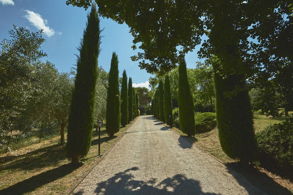 Podere Fontegallo カスティリオーネ・デル・ラーゴ エクステリア 写真